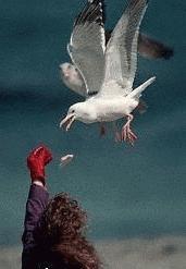 Mary with bird